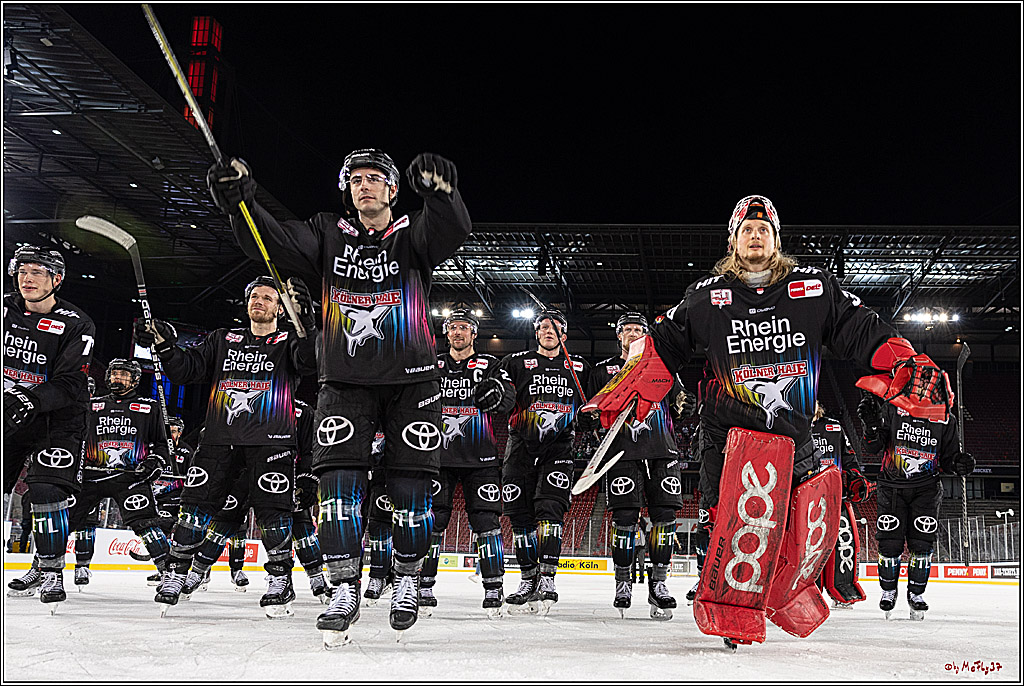 PENNY DEL;  Koelner Haie - Augsburger Panther; Koeln, 08.01.2023